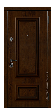 Входная дверь Поло (вид снаружи) - купить в Краснодаре